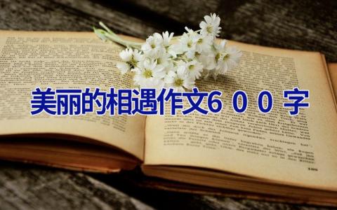 美丽的相遇作文600字