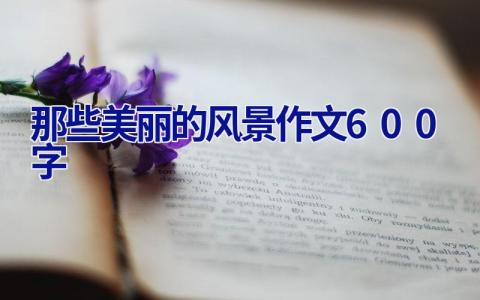 那些美丽的风景作文600字