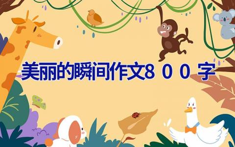 美丽的瞬间作文800字