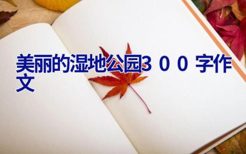 美丽的湿地公园300字作文