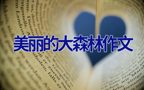 美丽的大森林作文