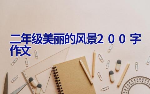 二年级美丽的风景200字作文