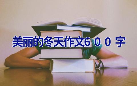 美丽的冬天作文600字
