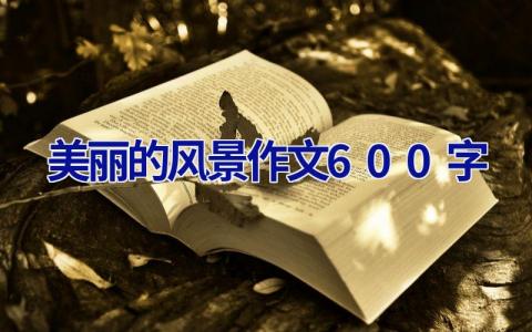 美丽的风景作文600字