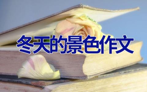 冬天的景色作文