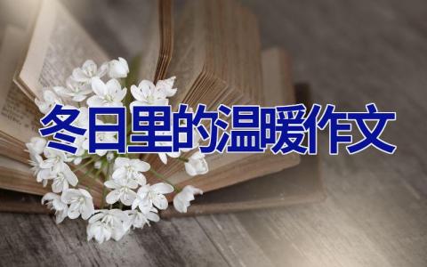 冬日里的温暖作文