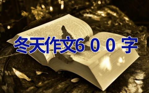 冬天作文600字