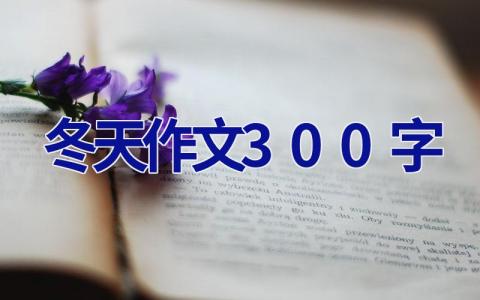 冬天作文300字