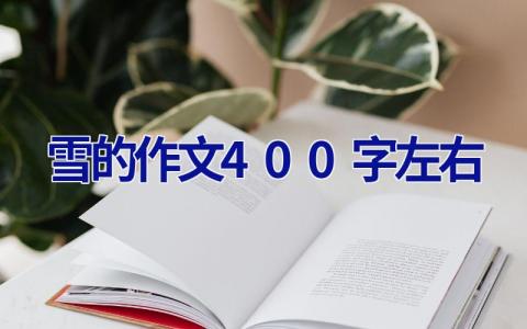 雪的作文400字左右