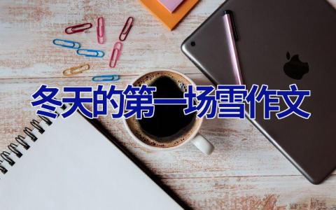冬天的第一场雪作文