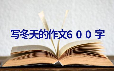 写冬天的作文600字
