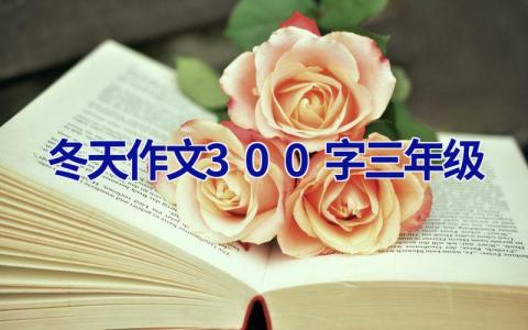 冬天作文300字三年级