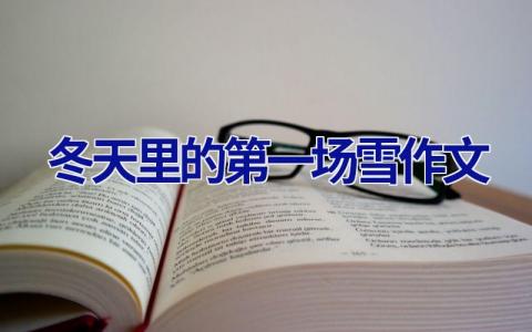 冬天里的第一场雪作文