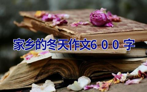家乡的冬天作文600字