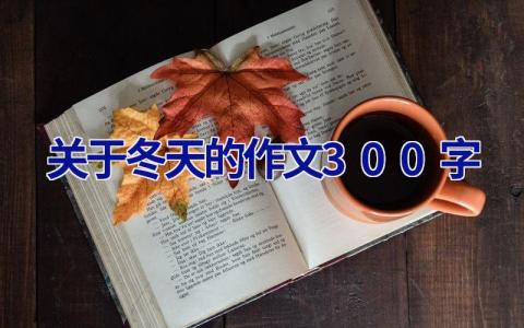 关于冬天的作文300字