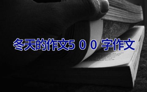 冬天的作文500字作文