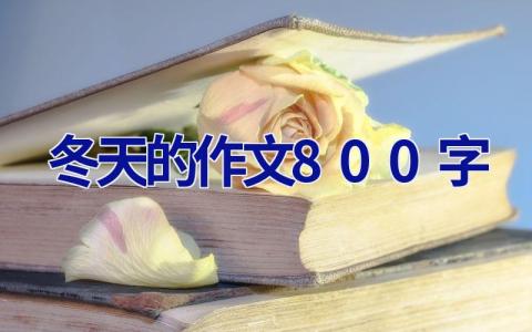 冬天的作文800字