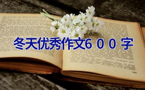 冬天优秀作文600字