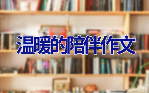 温暖的陪伴作文