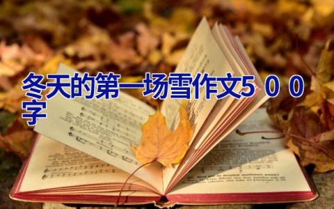 冬天的第一场雪作文500字