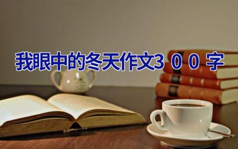 我眼中的冬天作文300字