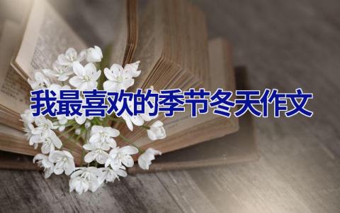 我最喜欢的季节冬天作文