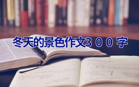 冬天的景色作文300字
