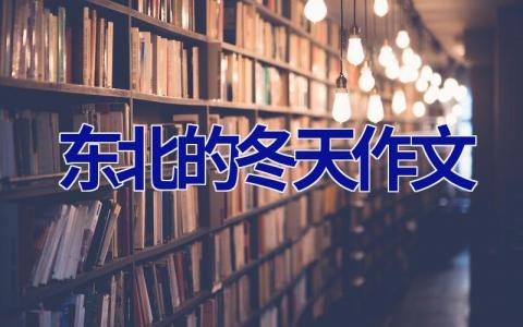 东北的冬天作文