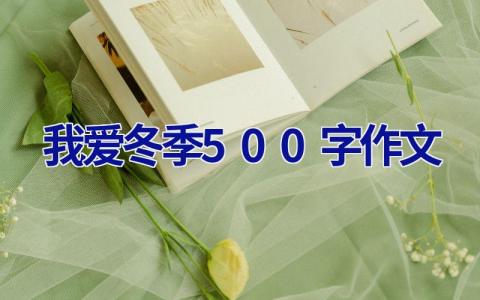 我爱冬季500字作文