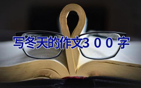 写冬天的作文300字