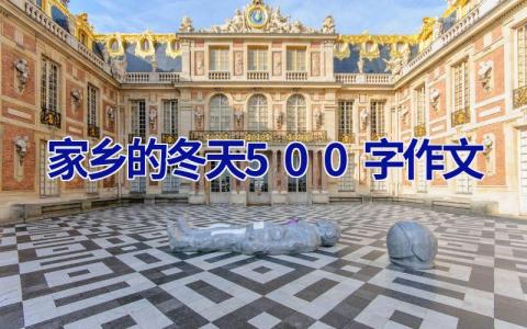 家乡的冬天500字作文