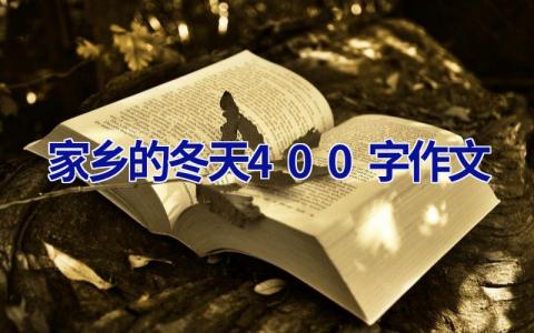 家乡的冬天400字作文