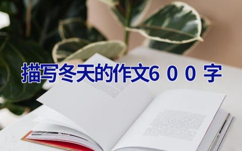描写冬天的作文600字