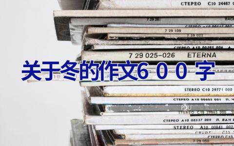 关于冬的作文600字