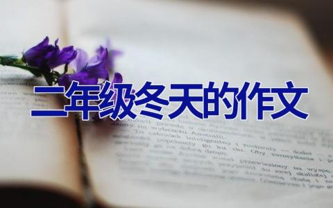 二年级冬天的作文