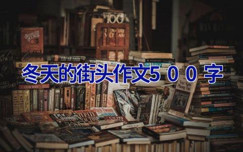 冬天的街头作文500字