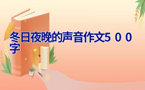 冬日夜晚的声音作文500字