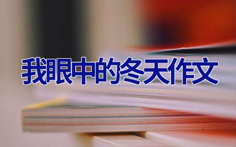 我眼中的冬天作文