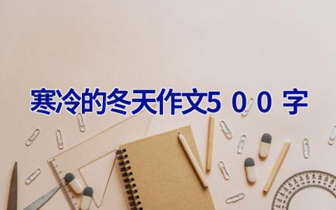 寒冷的冬天作文500字