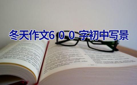 冬天作文600字初中写景
