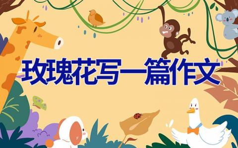 玫瑰花写一篇作文