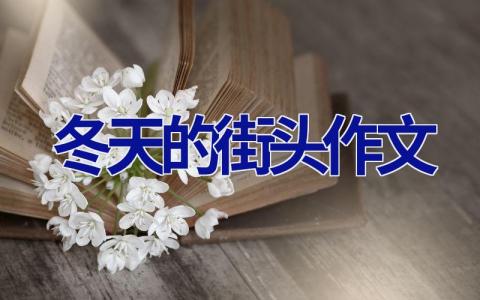 冬天的街头作文