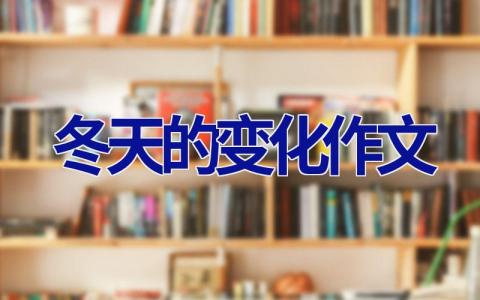 冬天的变化作文