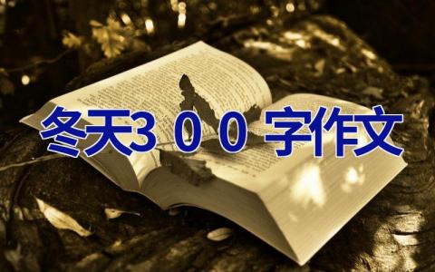 冬天300字作文