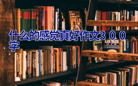 什么的感觉真好作文300字