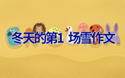 冬天的第1场雪作文