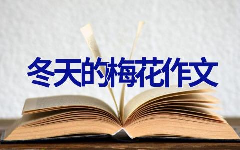 冬天的梅花作文