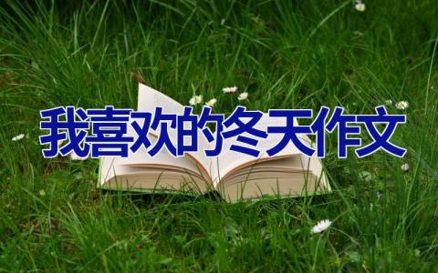 我喜欢的冬天作文