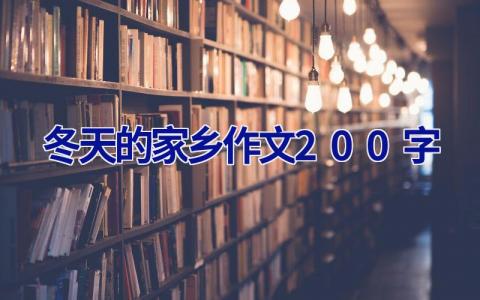 冬天的家乡作文200字