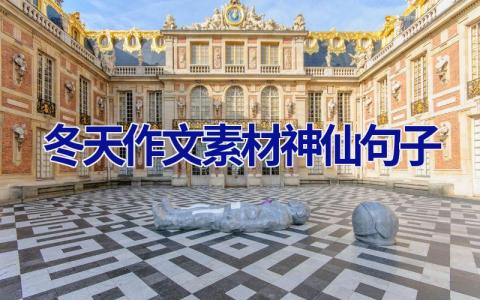 冬天作文素材神仙句子